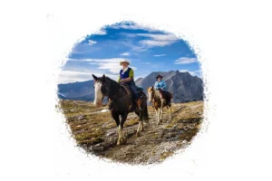 horses